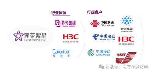 從調味品到AI新勢力 蓮花控股業績領跑同行，科技版圖再落信息技術咨詢服務關鍵一子