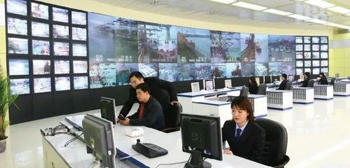 專業(yè)群巡禮 青島港灣職業(yè)學(xué)院信息技術(shù)專業(yè)群，信息技術(shù)咨詢服務(wù)探析